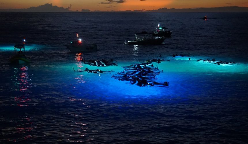 Bioluminescence Kayaking